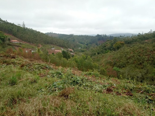 Imagem 2 de 14 de B20- Lotes Com Vista Unica Em Igarata Áreas Verdes