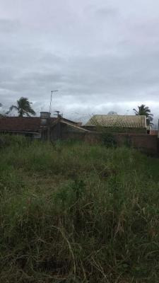 Imagem 2 de 3 de Terreno Murado Com 260 M², Em Itanhaém/sp 5857-pc