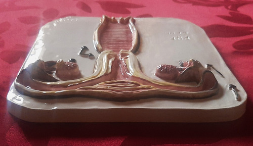 Educación Sexual Sistema Reproductor Femenino Cerámica