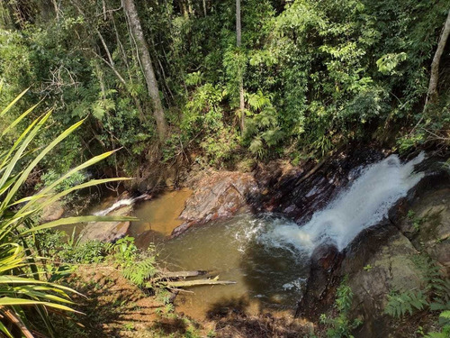 Imagem 6 de 12 de Terreno Em Miracatu-sp Medindo 8 Alqueires Com Cachoeira
