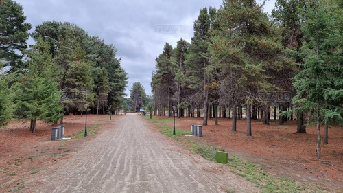 Imagen 11 de 27 de Terreno Lote En Venta Ubicado En Dina Huapi, Bariloche, Patagonia