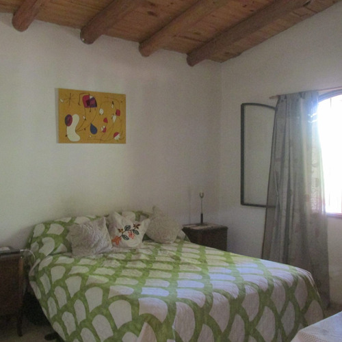Venta Finca Olivos Ciruelas En San Rafael Mendoza