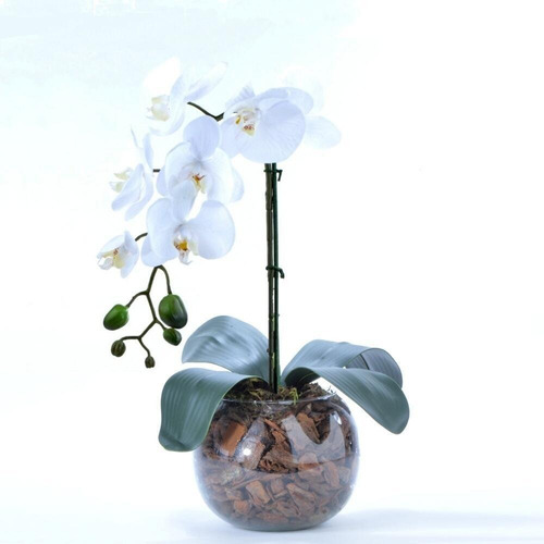Arranjo De Orquídea Artificial Branca Em Aquário Nani | Frete grátis