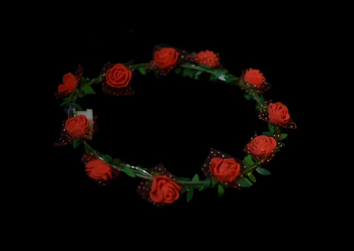 Imagen 5 de 10 de Vincha Tiara Corona Flores Hippie Especial Led Cotillon