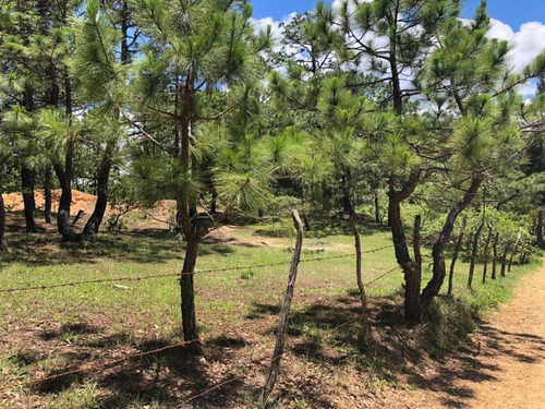 Imagen 6 de 6 de Terreno En Venta El Vergel