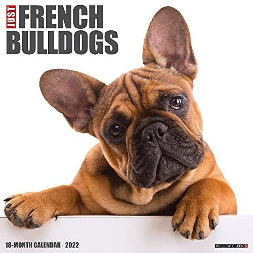 Just French Bulldogs 2022 Wall Calendar (dog Breed)