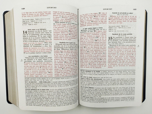 Imagen 6 de 9 de Biblia De Estudio Vida Plena Rvr-1960 Piel Especial Negro