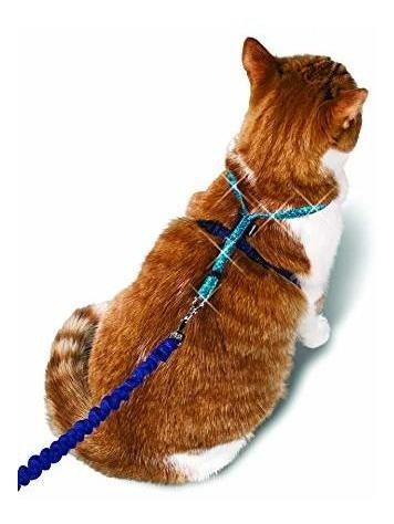 Petsafe Viene Conmigo Gatito  Arnes Y Bungee Correa Sparkle