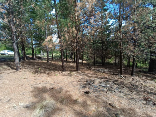 Imagen 5 de 12 de Terreno - Epuyen