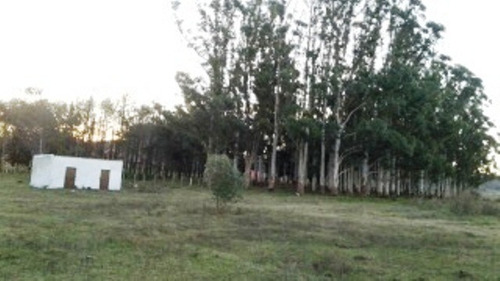 Quinta En Venta De 2 Dormitorios En Maldonado