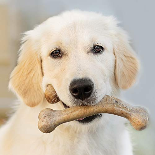 Juguete Mordedor Perro Benebone Puppy Wishbone, Bacon Real,