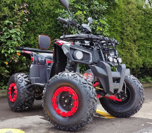 Imagen 4 de 15 de Cuatrimoto Boss 250cc