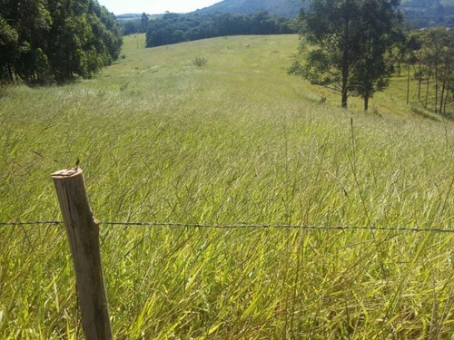 Imagem 17 de 29 de Fazenda De Gado Com 263 Hectares Itajuba - 36525