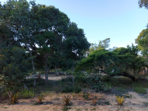 Imagem 12 de 23 de Terreno À Venda Em Arraial D'ajuda - Porto Seguro, Terreno Plano Com Área Limpa Pronta Para Construção, Ponto De Água, Energia, Área De Lazer E Playground