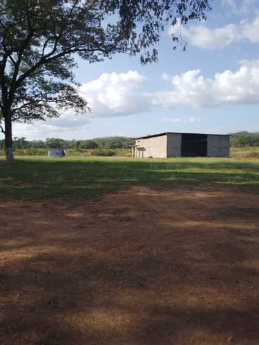 Imagen 30 de 30 de Finca Privada De 100 Hectáreas A 12 Minutos De San Carlos