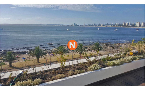 Espigón, Apartamento En Venta Y Alquiler, Peninsula, Punta Del Este, 3 Dormitorios.