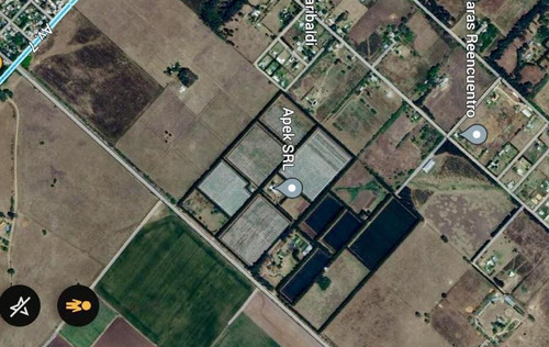 Campo De Kiwis En Villa Parque Sicardi (leer Descripción Del Negocio Y Su Rentabilidad)