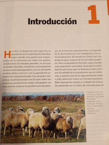 Manual De Crianzas De Animales - Mas Tecnico Apicultor