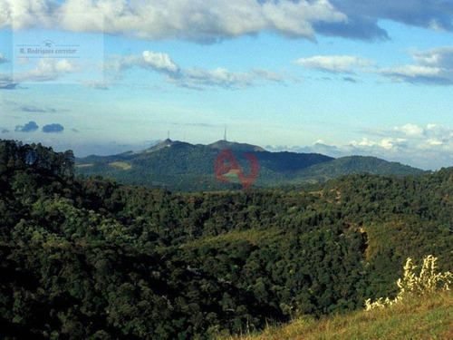 Imagem 11 de 30 de Gênesis 2 - Terreno À Venda, 701 M² - Alphaville - Santana De Parnaíba/sp - Te1729