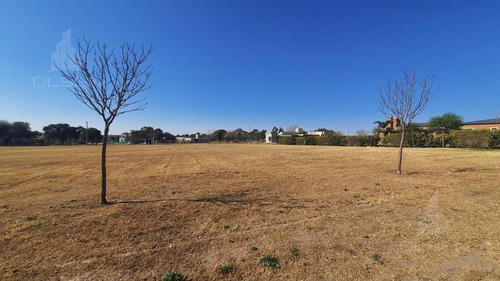 Imagen 4 de 14 de No Lo Pierda! Central 2250m2 Seguridad Disfrute De La Tranquilidad