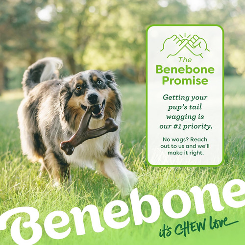 Juguete Masticable Duradero Para Perros Benebone Wishbone Pa