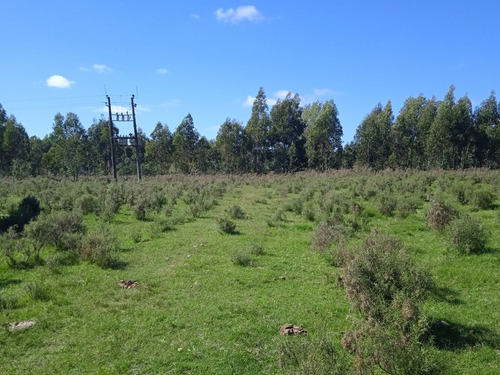 Campo De 20 Has A 88 Km De Montevideo