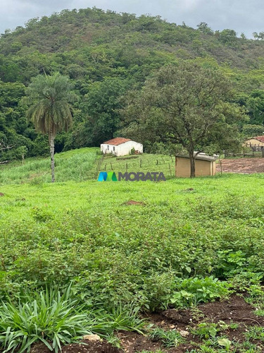 Imagem 12 de 15 de Fazenda - Zona Rural - Ref: 5534 - V-mta5534