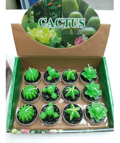 Velas Decorativas De Formas Variadas Corazon - Cactus Y Nudi