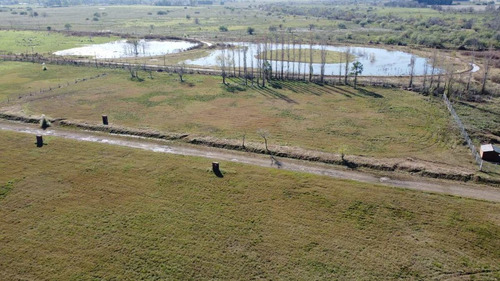 Venta, Lote 1971 M2. La Amanecida, Ex. De La Cruz.