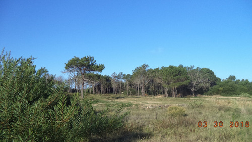 Imagen 6 de 14 de Excelente Terreno En Rocha Punta Del Diablo