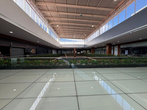 Local Comercial En Renta En Bosque Esmeralda