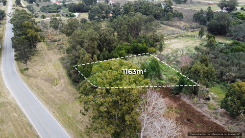 Terreno En Piriápolis (barra De Portezuelo) Ref. 6039