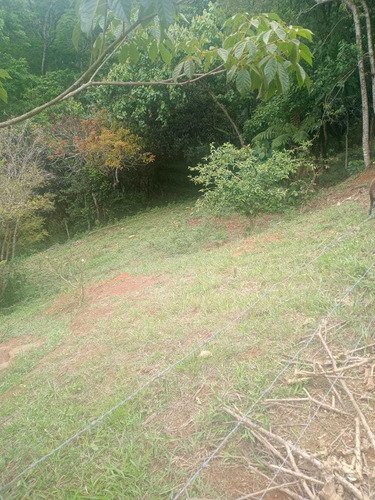 Imagem 5 de 14 de Lotes Á Venda Com Vista Pra Natureza 77a