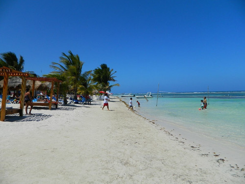 Imagen 3 de 4 de Hectareas En Venta En Mahahual