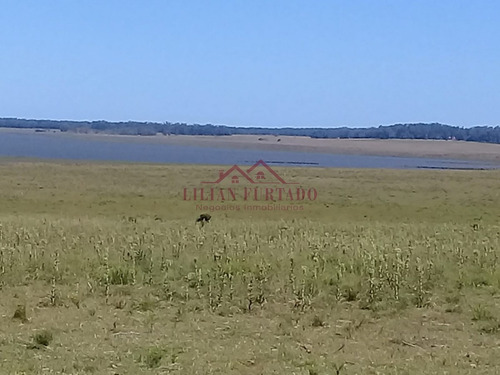26 Has En Zona Laguna Jose Ignacio - Ref: 654