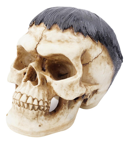 Modelo de cráneo humano 1:1 de resina falso artesanías estatua Cabeza Esqueleto Para La Enseñanza