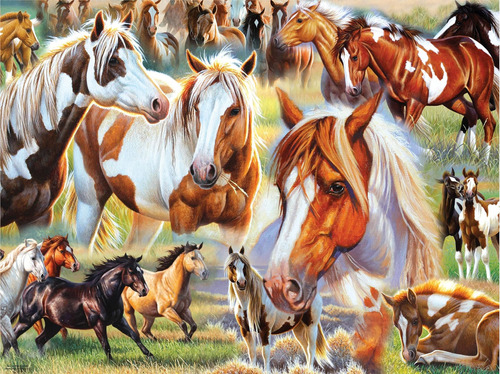 Ceaco - Caballos - Collage De Caballos - Puzzle De 500 Pieza