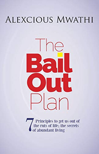The Bail Out Plan: 7 Principles To Get Us Out Of The Ruts Of