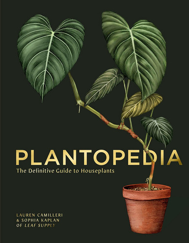 Plantopedia: La Gua Definitiva De Las Plantas De Interior