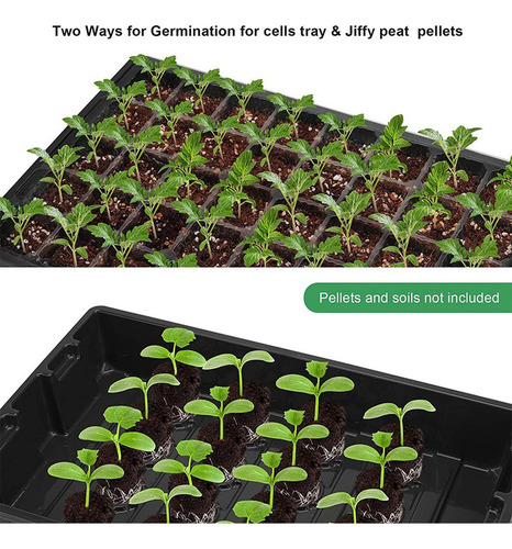 Bandejas De Mudas De Sementes Para Plantas De Flores Germina