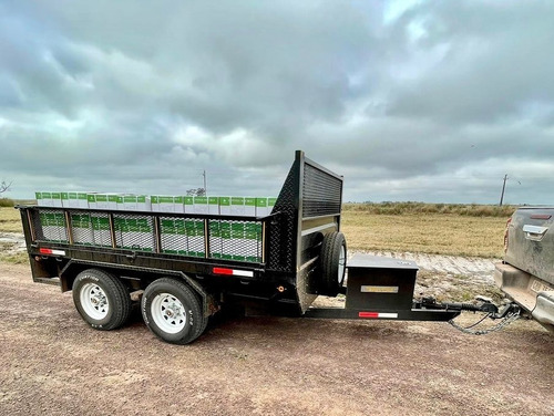 Imagen 16 de 17 de Trailer Para Pallet O Cajones 3.500kg Doble Eje Nuevos