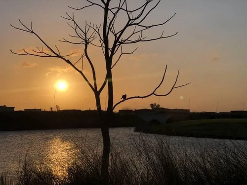 Lote En Venta Puertos Del Lago Acacias Al Lago