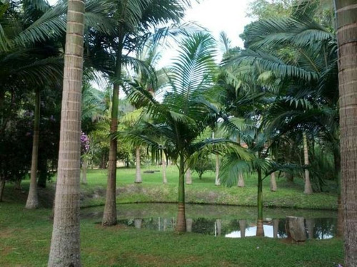 Imagem 8 de 30 de Sitio Em Camboriú - Aceita Permuta Em Balneário Camboriu 15mil M² - T102 - 3285723