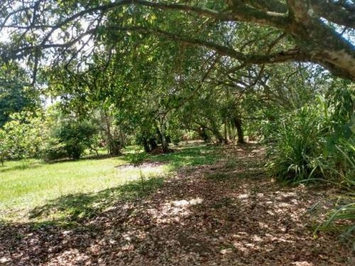 Chácara C/ 01 Dormitório Em Itanhaém,confira!! 7460 J.a