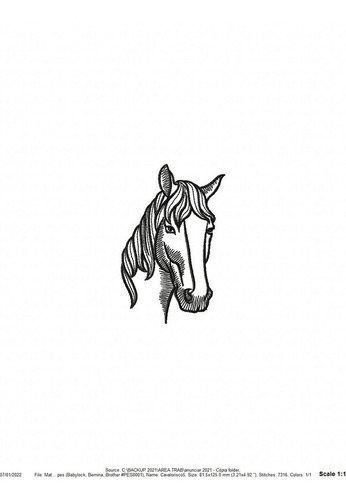 Matriz De Bordado Inb6175 Cavalo Risco