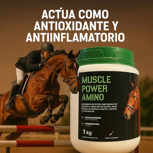 Suplemento Para Caballos Muscle Power Amino 1kg Laboquimica