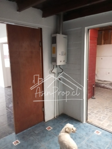 Arriendo Casa Una Pareja Mas Mascota