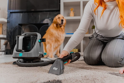 Extratora Wap Spot Cleaner W2 Higienizadora Portátil 220v