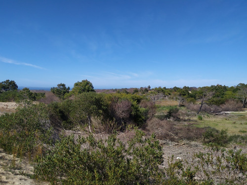 Imagen 15 de 19 de Solar - En Venta En La Viuda Punta Del Diablo A 150m De La Playa - Mza 253