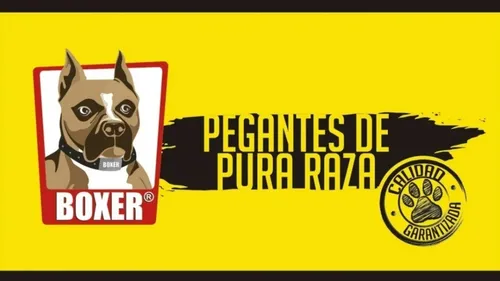 Pegante Boxer Evolucion Original 500 Ml *12